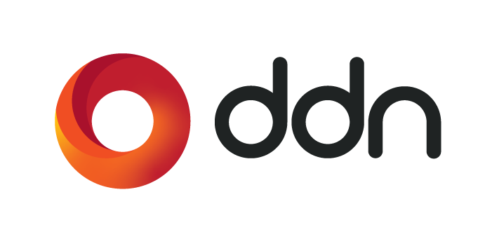 DDN Storage